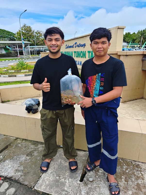 Benih ikan hias