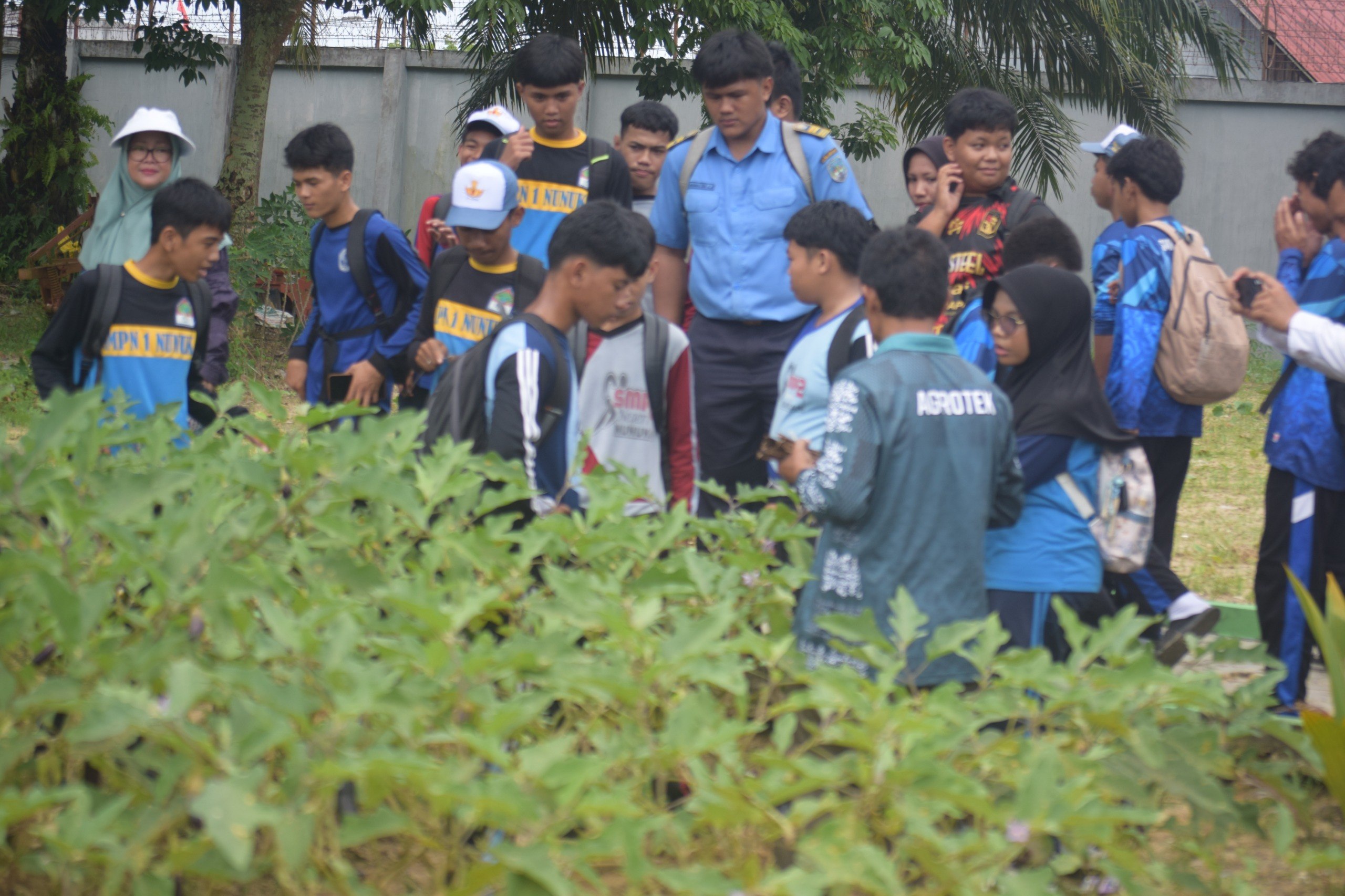 Narasumber menjelaskan pengelolaan lahan pertanian SEALANUKA